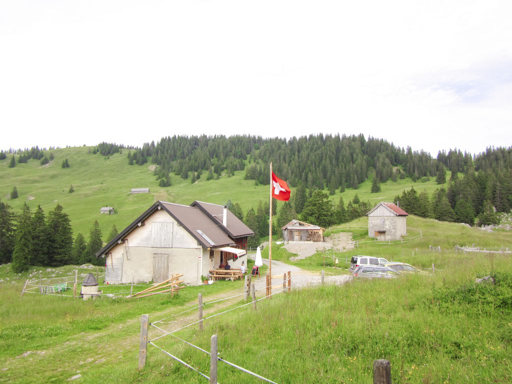 Alp Feldredeten ob Siebnen