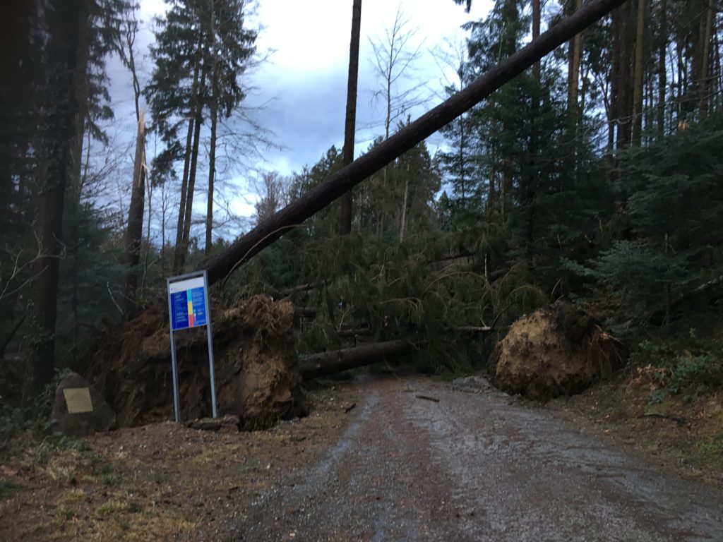 Waldsperrung
